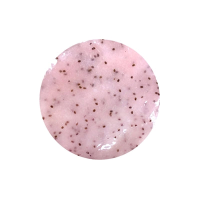 Esthemax Hydrojelly Mask Antioxidant Goji